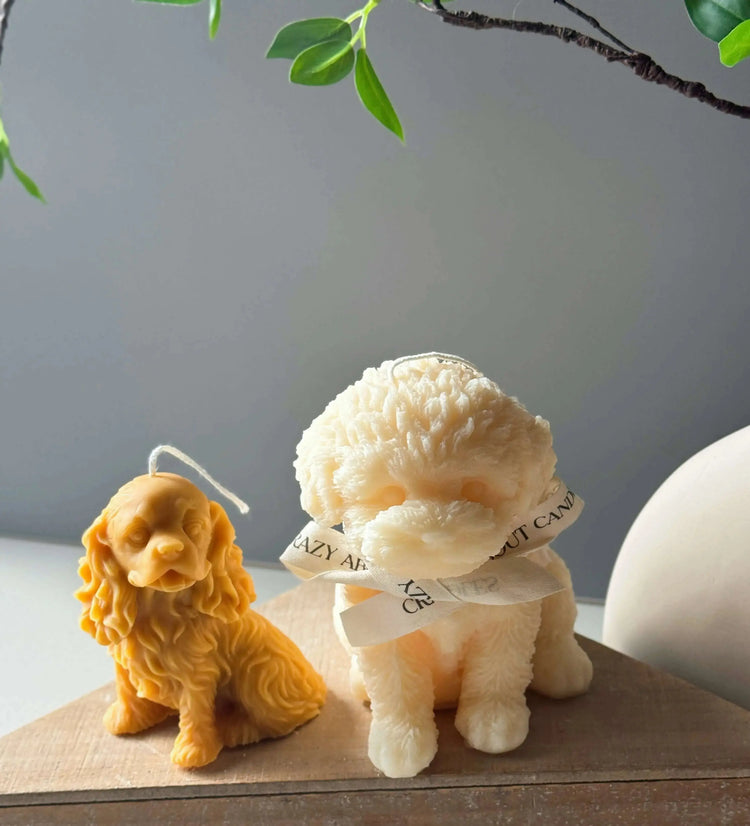 Decor & Gifts