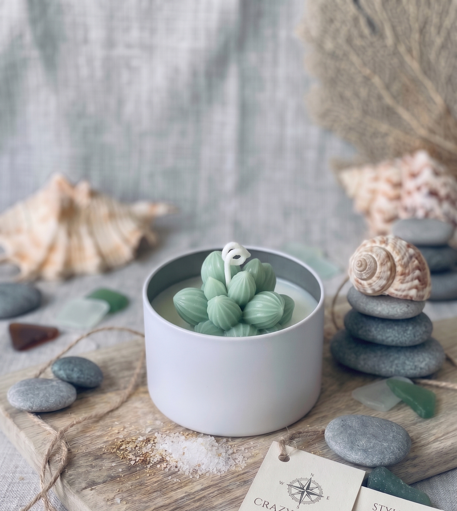 Cactus Jar Candle — Sage Cluster Succulent | Soy Wax, Handmade in USA