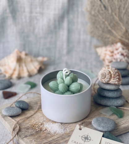 Cactus Jar Candle — Sage Cluster Succulent | Soy Wax, Handmade in USA
