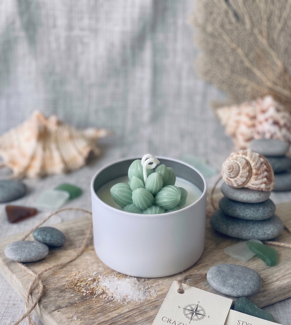 Cactus Jar Candle — Sage Cluster Succulent | Soy Wax, Handmade in USA