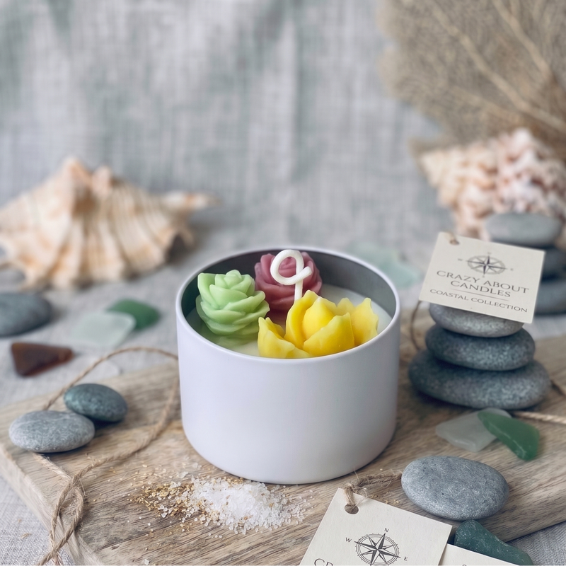 Cactus Jar Candle — Tricolor Rosette Garden | Soy Wax, Handmade in USA - handmade home fragrance gift
