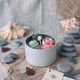 Cactus Jar Candle — Blush & Teal Rosette Garden | Soy Wax, Handmade in USA - handmade home fragrance gift