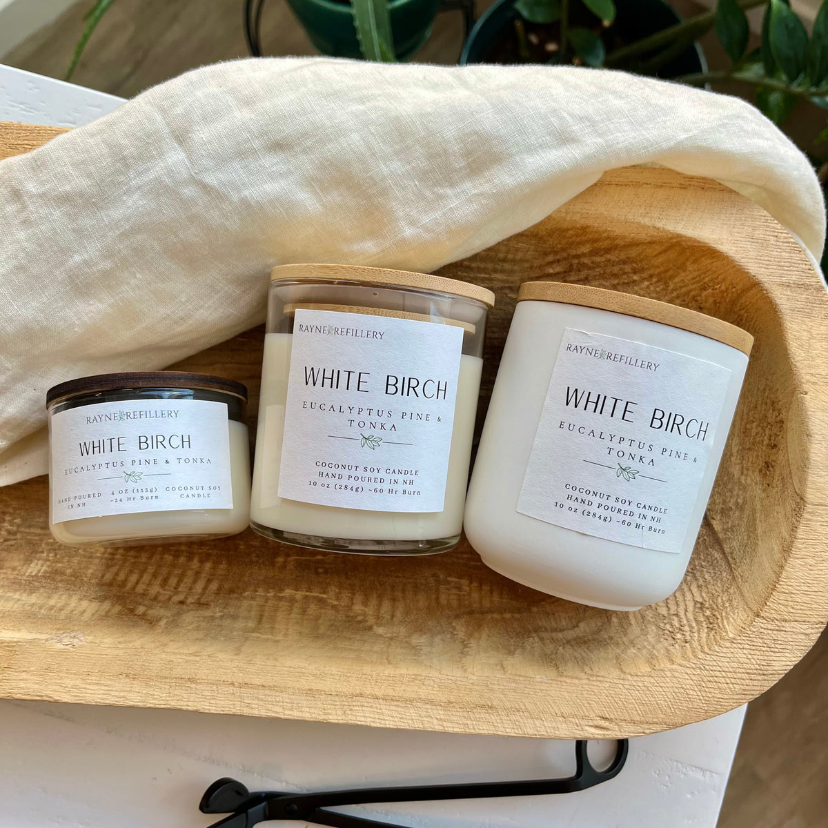 White Birch – Eco-Friendly Vegan Coconut Soy Candle | New Hampshire