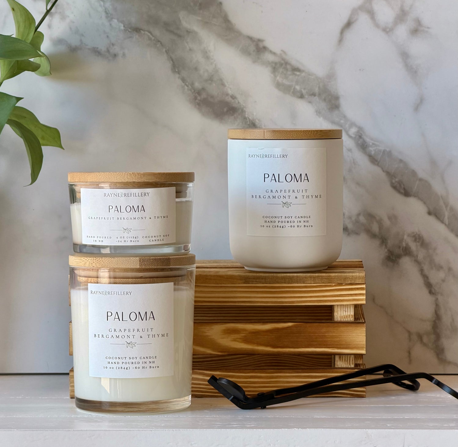 Paloma – Clean Burning Vegan Coconut Soy Candle - handmade home fragrance gift