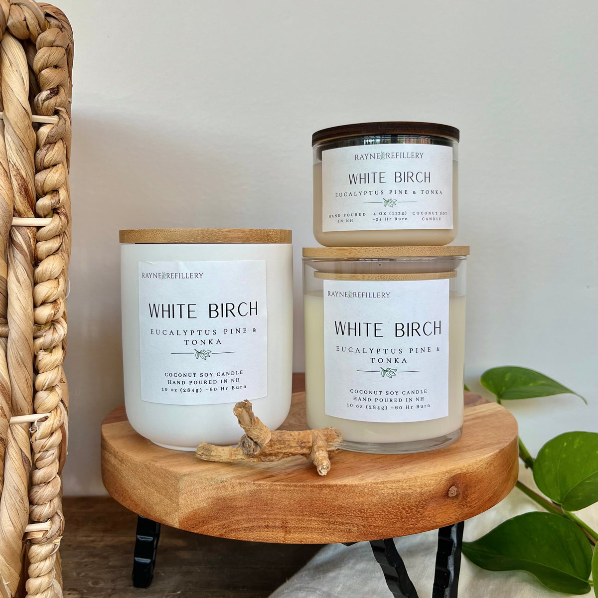 White Birch – Eco-Friendly Vegan Coconut Soy Candle | New Hampshire