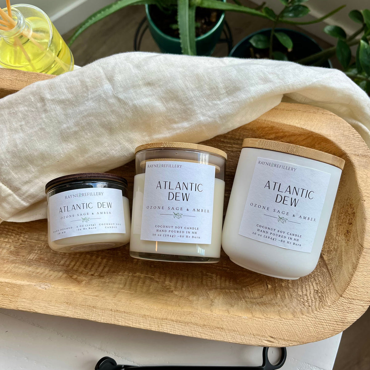 Atlantic Dew - Coconut Soy Wax Candle
