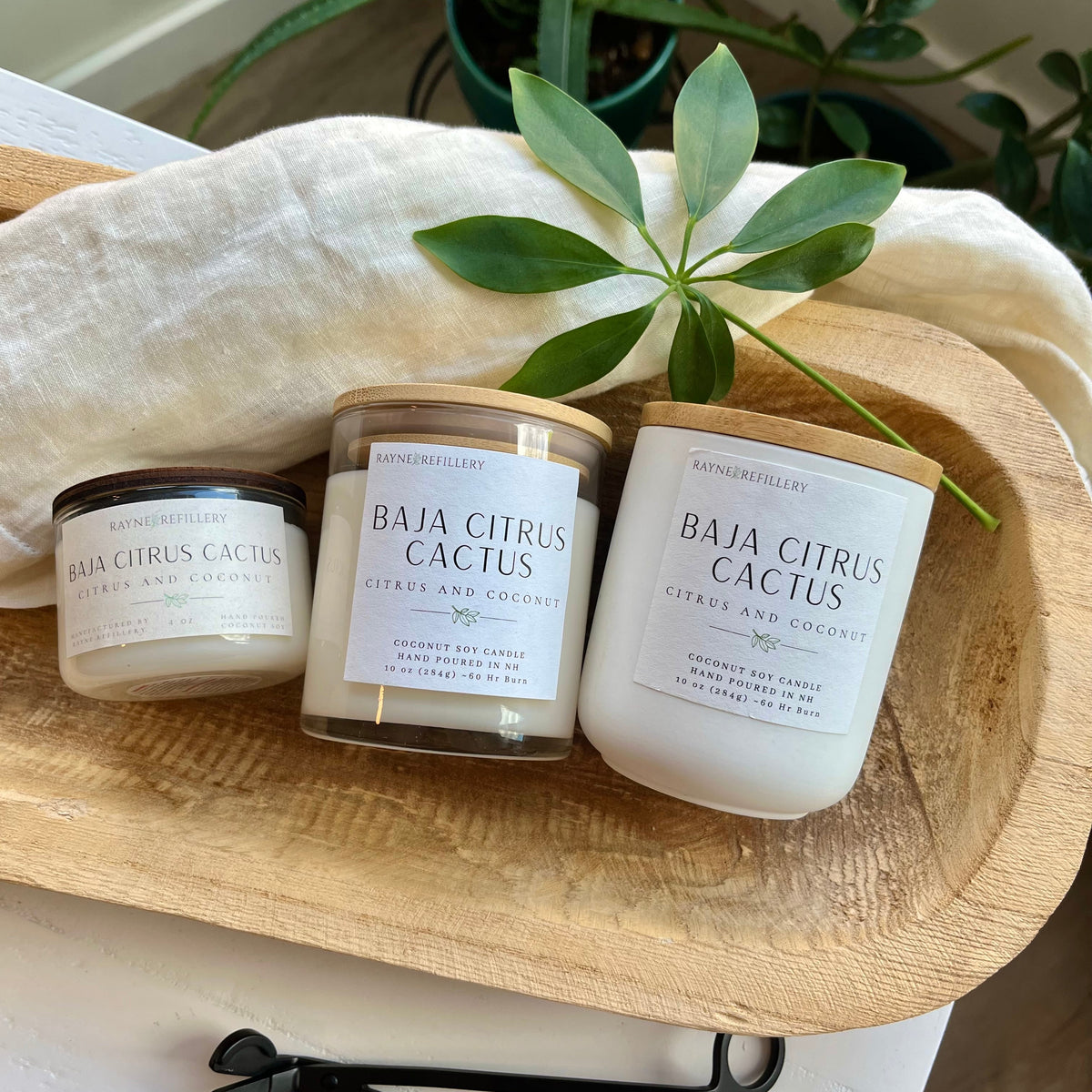Karner – Luxury Handmade Coconut Soy Candle | New Hampshire