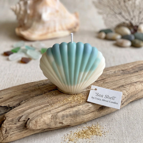 Shell Shaped Candle | Handmade Coastal Decor - handmade home fragrance gift