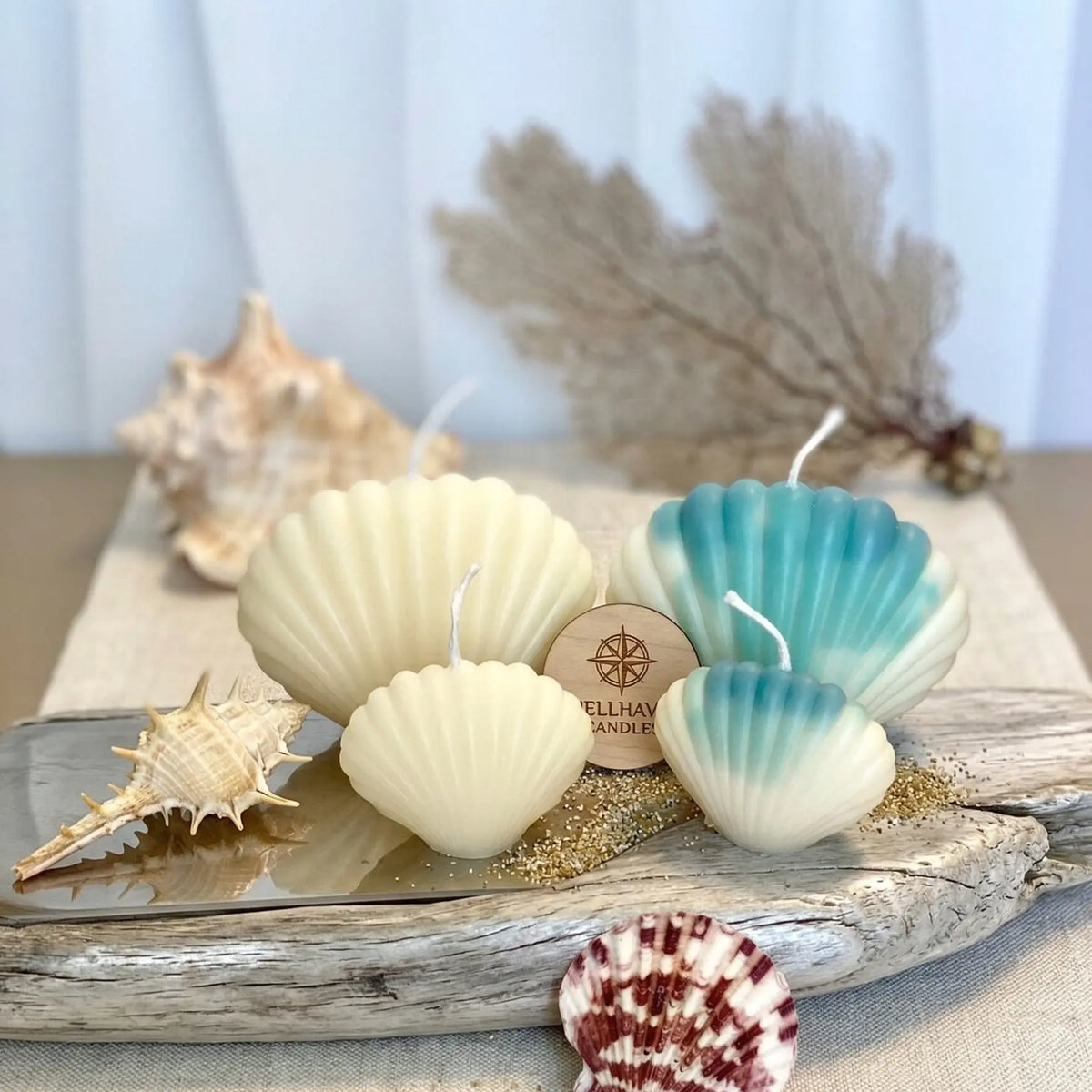 Shell Candle | Handmade Coastal Decor - handmade home fragrance gift