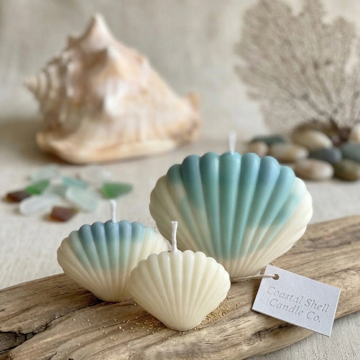 Shell Candle | Handmade Coastal Decor - handmade home fragrance gift