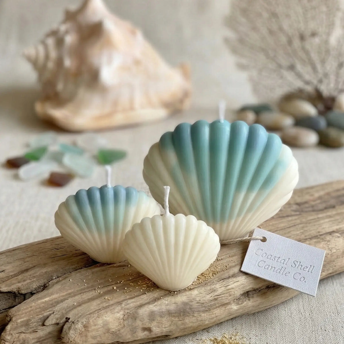 Shell Shaped Candle | Handmade Coastal Decor - handmade home fragrance gift