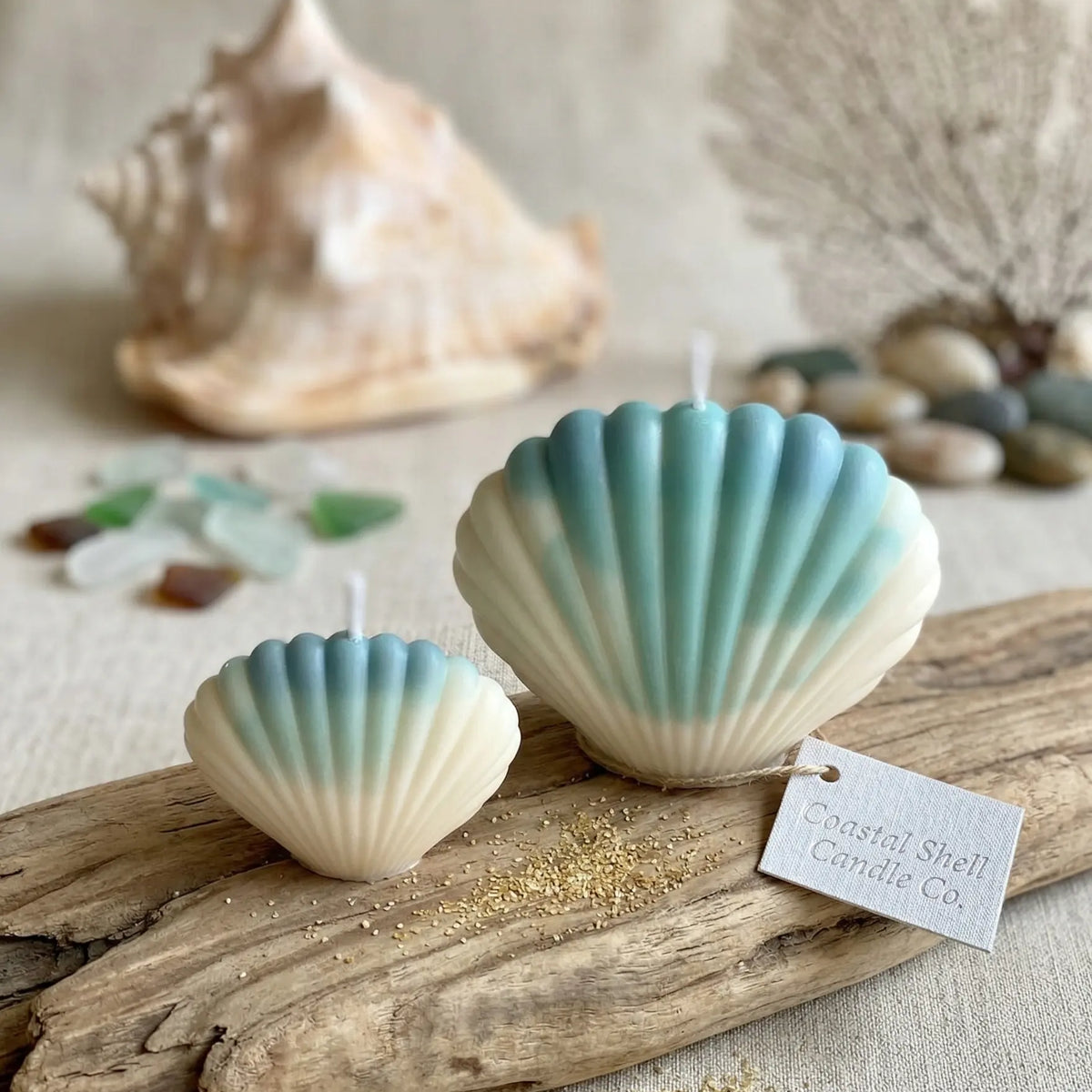 Shell Candle | Handmade Coastal Decor - handmade home fragrance gift