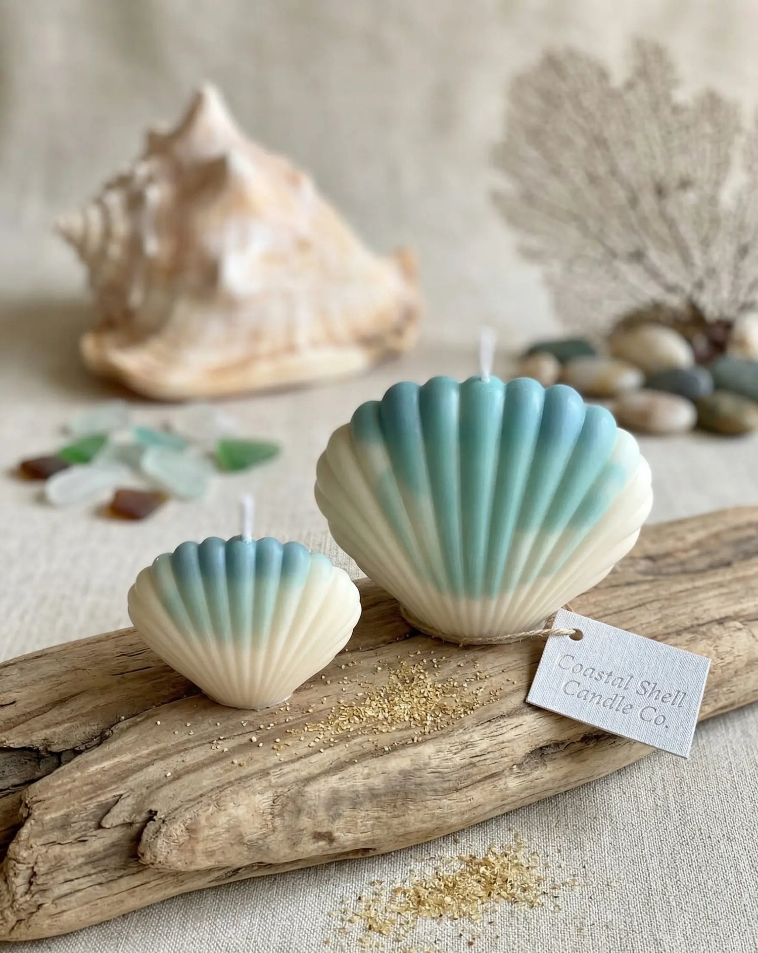 Shell Candle | Handmade Coastal Decor - handmade home fragrance gift
