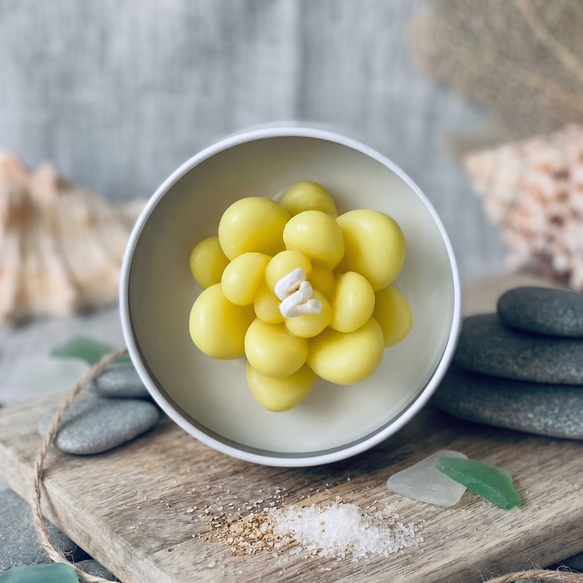 Cactus Jar Candle — Yellow Pebble Succulent | Soy Wax, Handmade in USA - handmade home fragrance gift