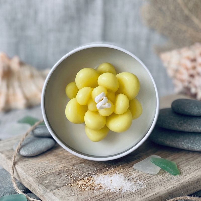 Cactus Jar Candle — Yellow Pebble Succulent | Soy Wax, Handmade in USA - handmade home fragrance gift