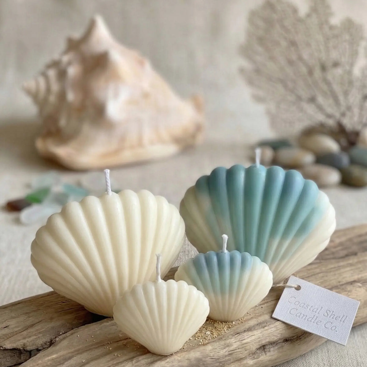 Shell Candle | Handmade Coastal Decor - handmade home fragrance gift