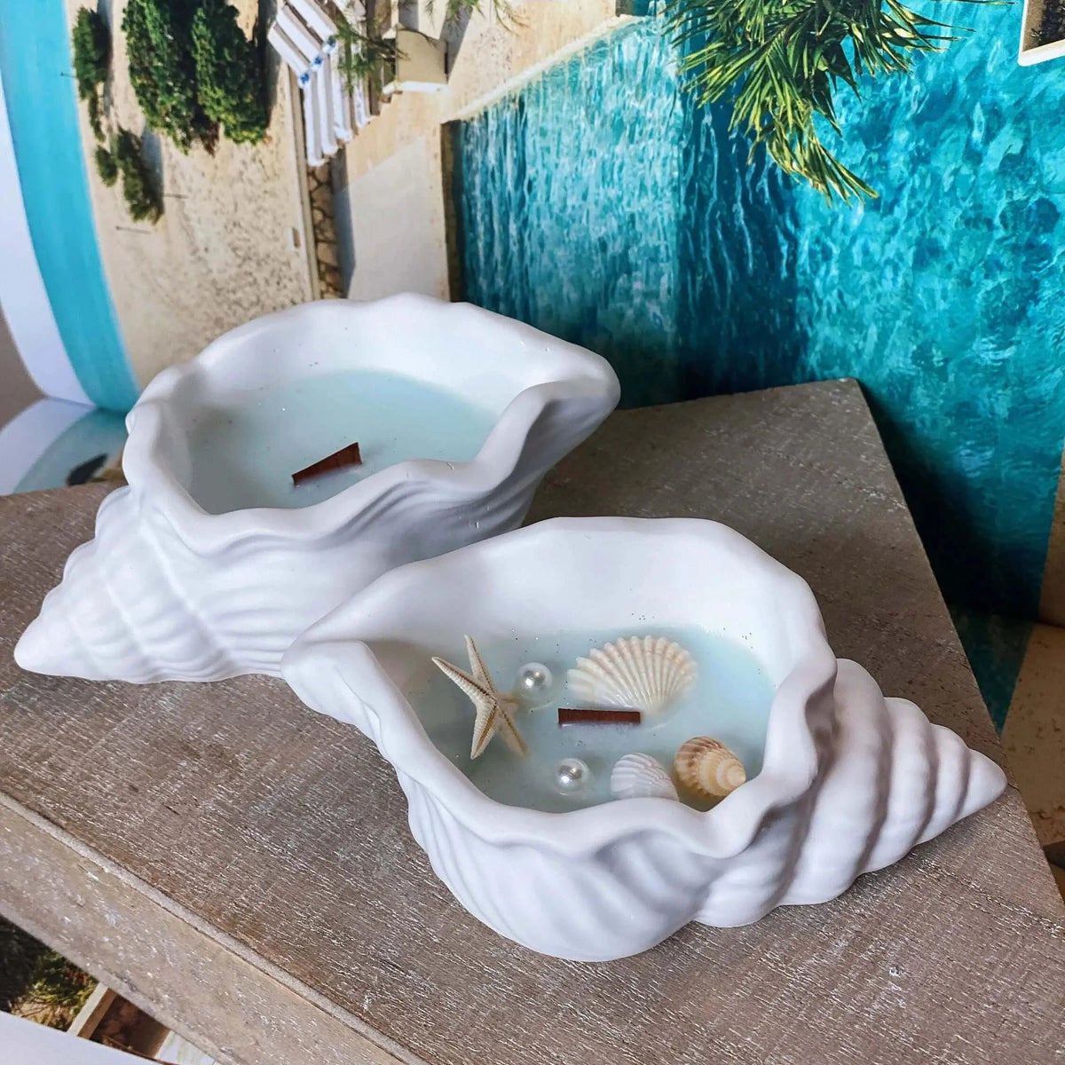 Sea Shell Candle in Jesmonite | Coastal Decor - handmade home fragrance gift