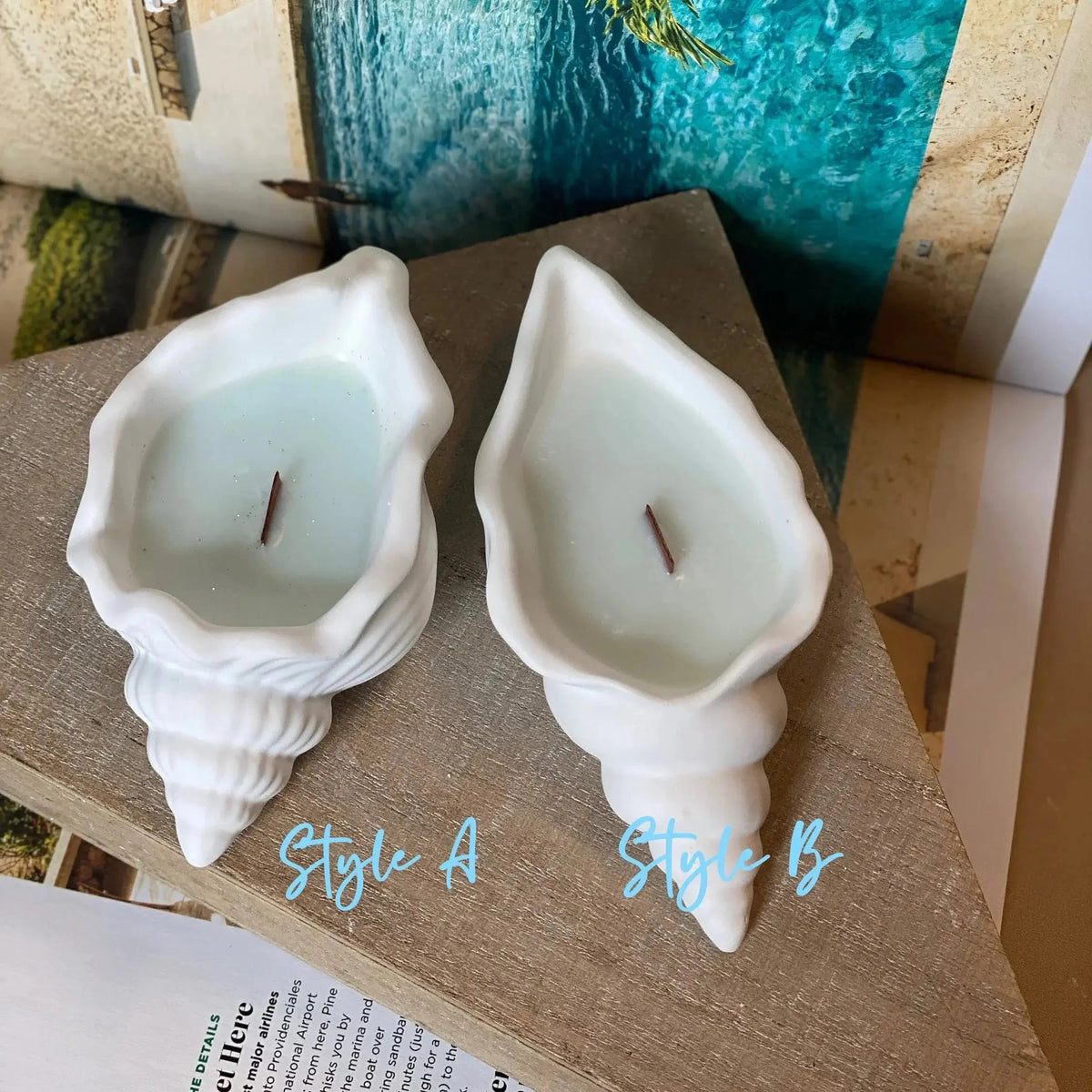 Sea Shell Candle in Jesmonite | Coastal Decor - handmade home fragrance gift