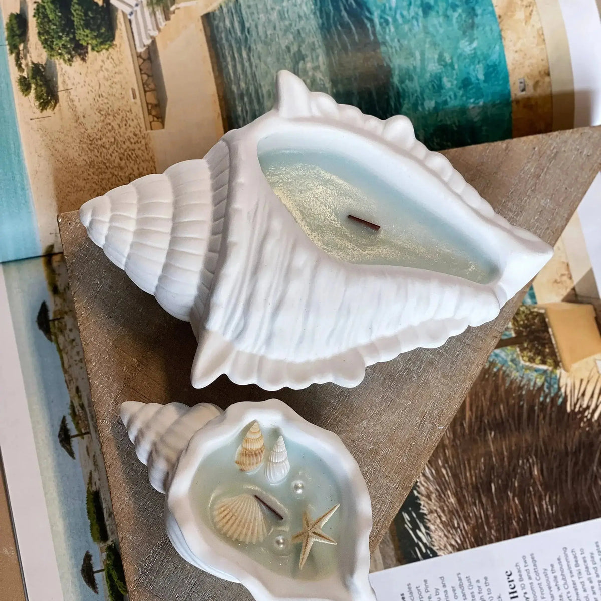 Sea Shell Candle in Jesmonite | Coastal Decor - handmade home fragrance gift